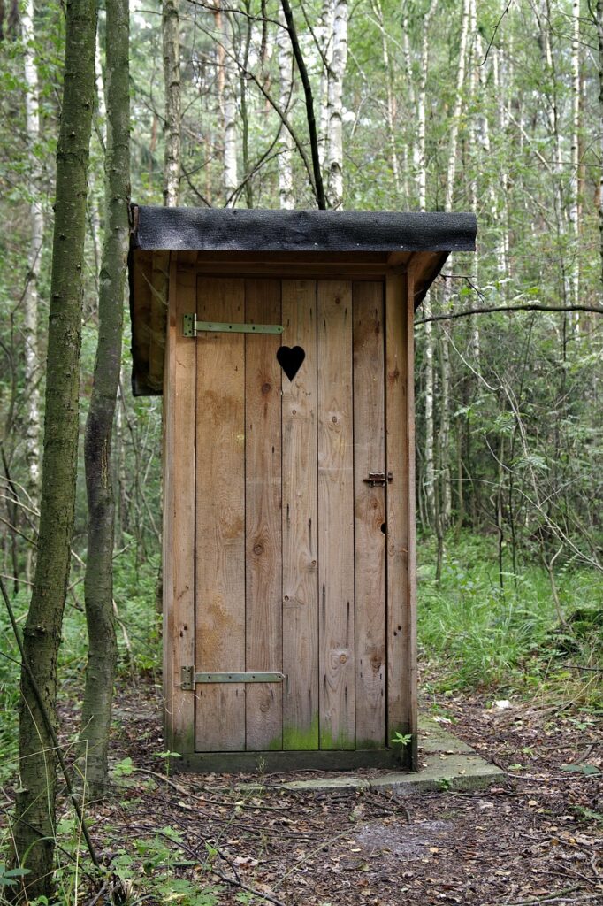 the toilet, item, wygódka, shed, latrines, portable toilet, toilet, wooden, forest, trees, the bushes, wood, nature, tree, hygiene, heart